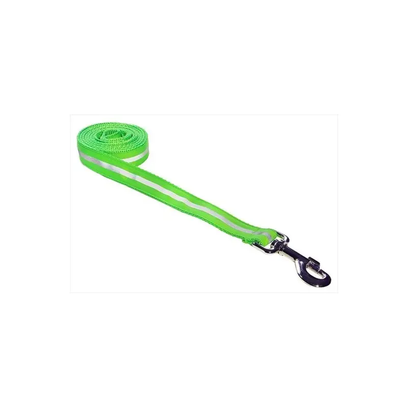 Sassy Dog Wear Green Reflective - 1-L 4 Ft. Reflective Dog Leash, - Small