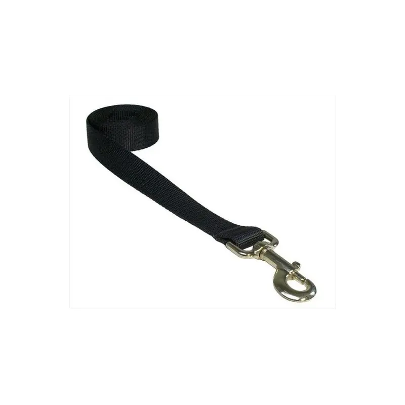 Fly Free Zone,Inc. Black 6 Ft. Nylon Webbing Dog Leash, - Medium