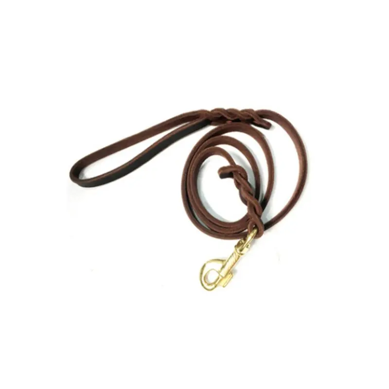 Leather Braided Dog Leash for Dog