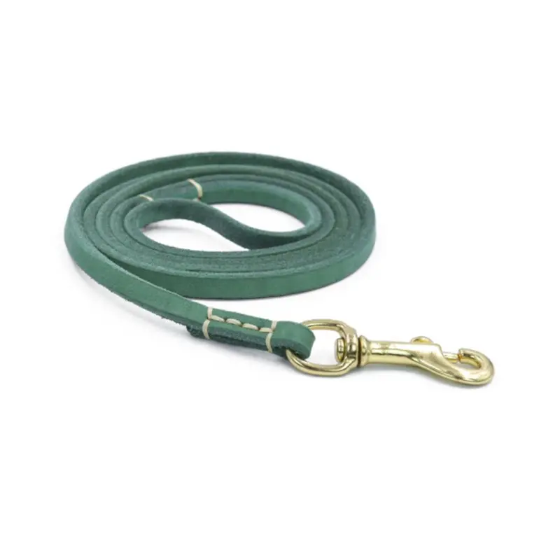 Zeuxo Leather Dog Leash - Best For Training Small