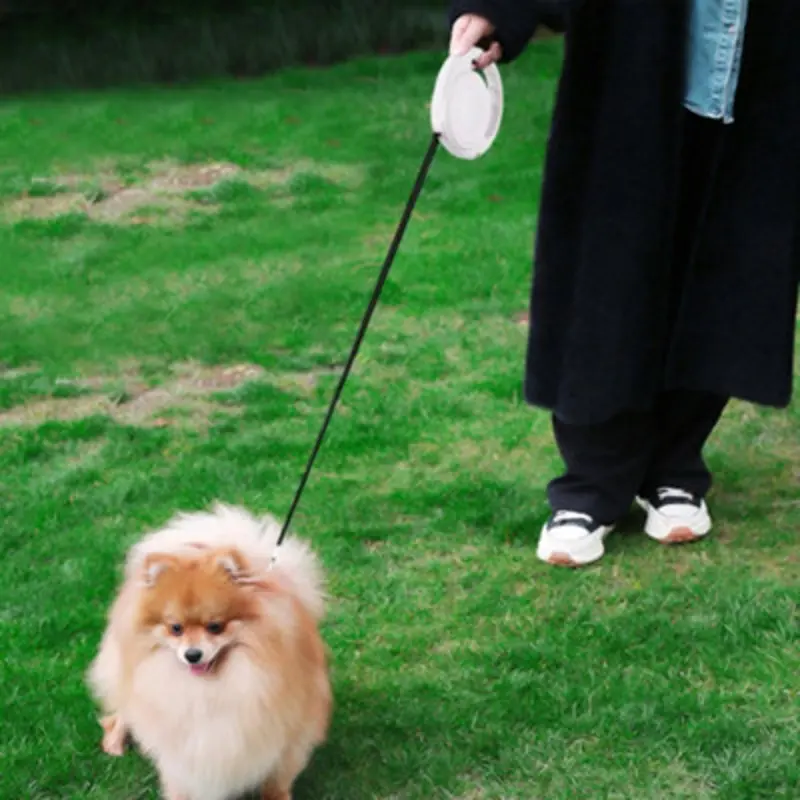 Living And Home Retractable Dog Lead Training Pet Leash Extendable White
