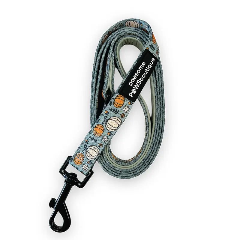 Pawsome Paws Boutique Pumpkin Fabric Dog Lead Green