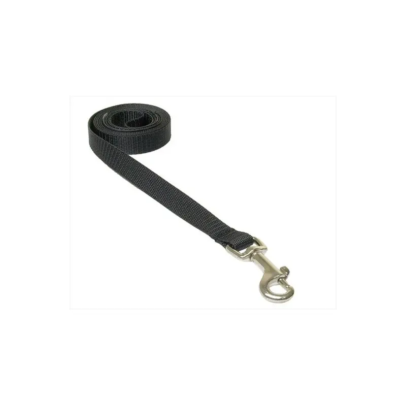 Sassy Dog Wear Black Solid L 4 Ft. Nylon Webbing Dog Leash, - Small