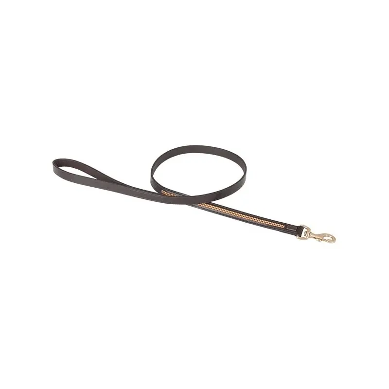 T De T Marron Dog Leash Strass
