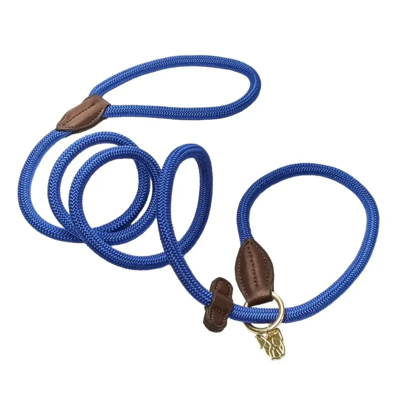 Digby & Fox Blue (One ) Leather Dog Slip Lead 170Cm