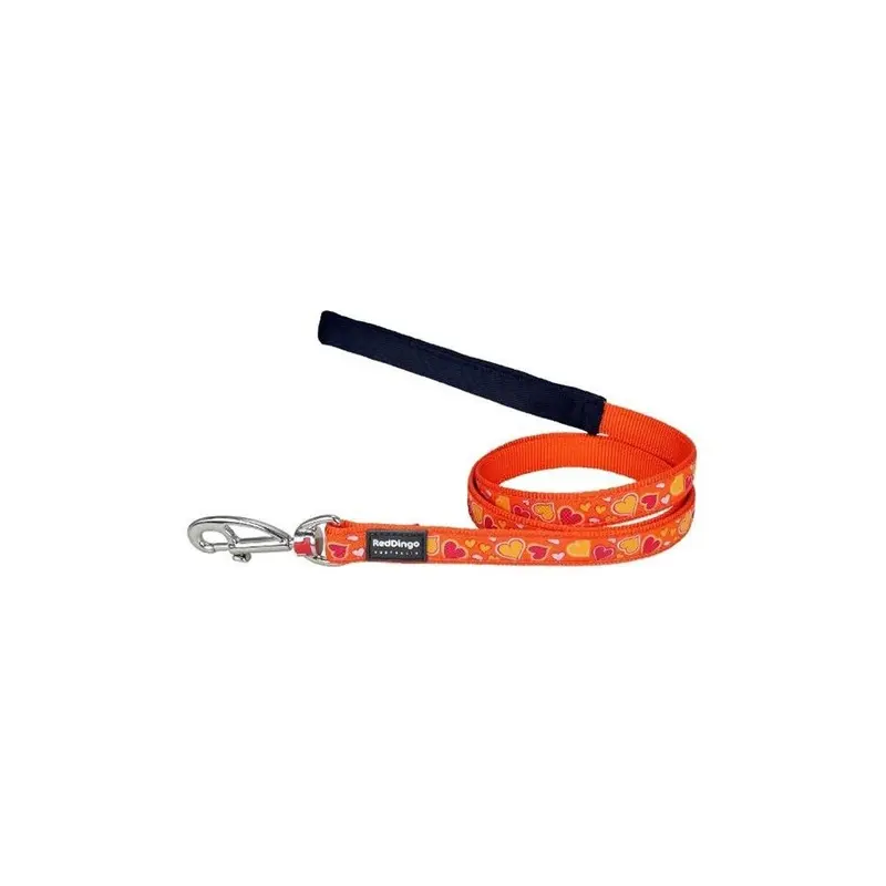 Red Dingo Orange,Red Dog Lead Design Breezy Love Orange, Medium