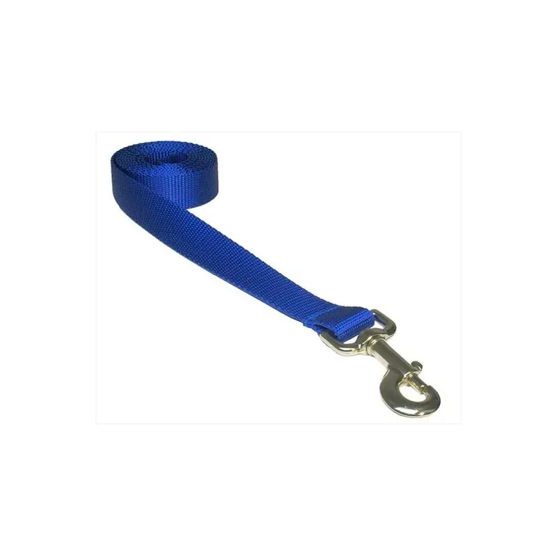 Fly Free Zone,Inc. Blue 6 Ft. Nylon Webbing Dog Leash, - Medium