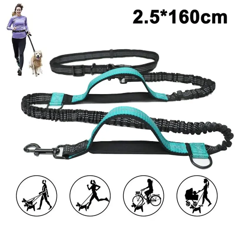 Green/Orange Jogging Dog Leash, Upgrade Hands-Free Dog Leash With Two Bungees