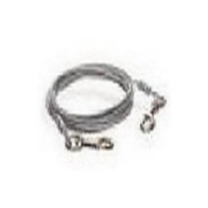Peticare Products 10 Ft. Pet Expert Heavy Weight Dog Tie Out 10Ft