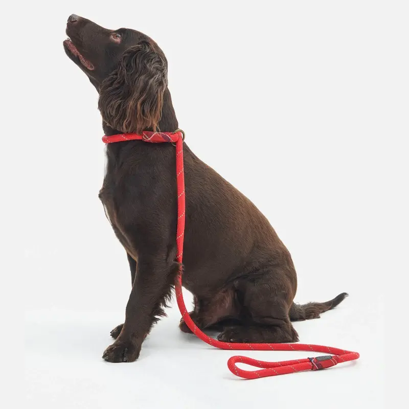 Barbour Dog Reflective Slip Lead