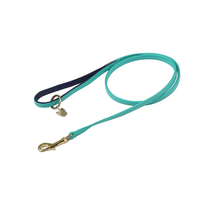 Digby & Fox Blue (110Cm X 1.5Cm, Aqua) Leather Padded Dog Lead 110Cm
