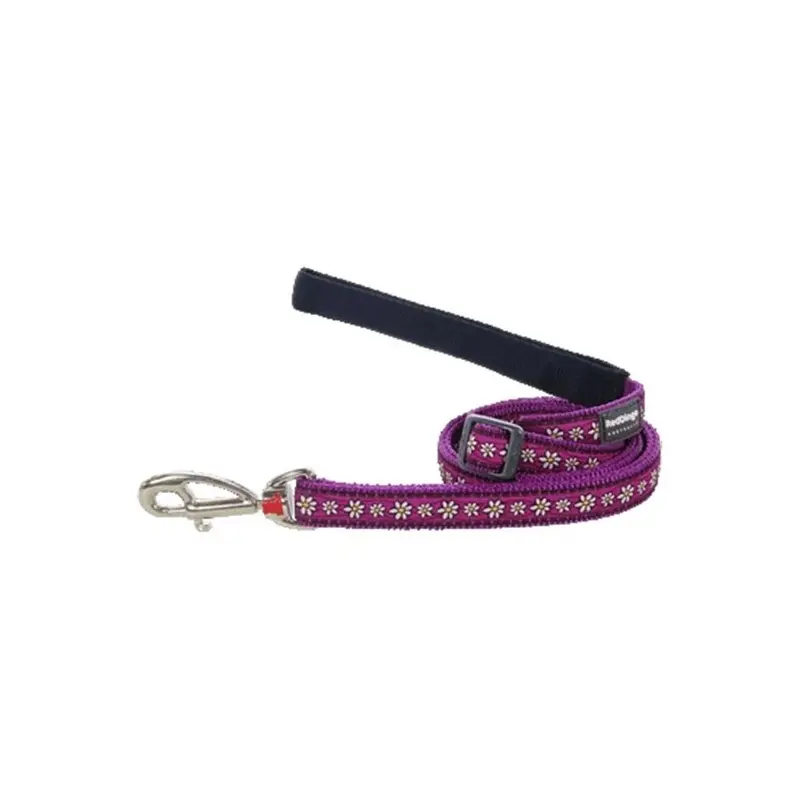 Red Dingo Red,Purple Dog Lead Design Daisy Chain Purple, Medium