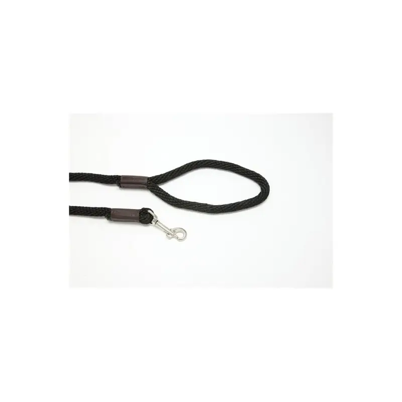 Purple Pebble Lz386bk 6 Ft. X 0.37 In. Leedz Black Leash Medium