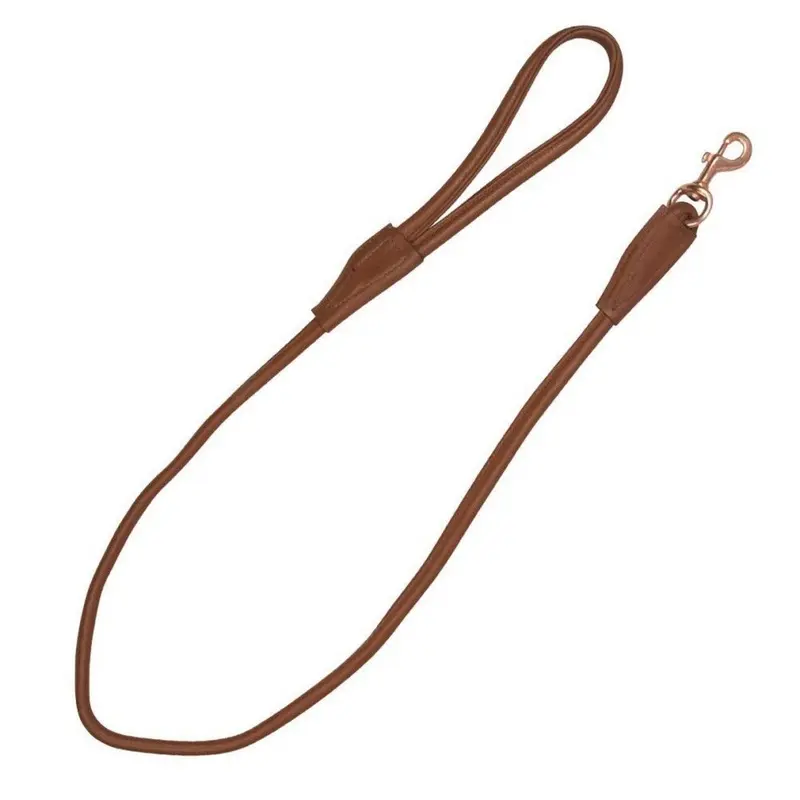 Benji & Flo Gold (One Size, Tan/Rose ) Superior Roll Leather Dog Lead