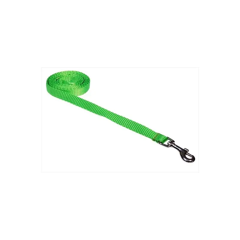 Fly Free Zone,Inc. Green 4 Ft. Nylon Webbing Dog Leash, Neon - Extra Small