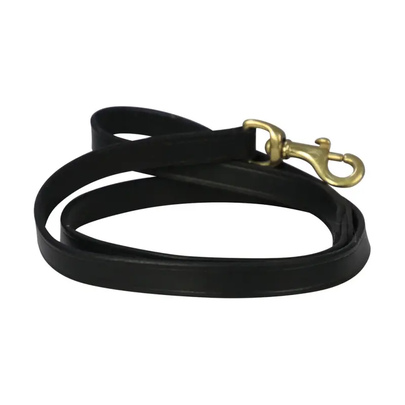 Benji & Flo Black (One /Brass) Deluxe Leather Padded Dog Lead 120Cm