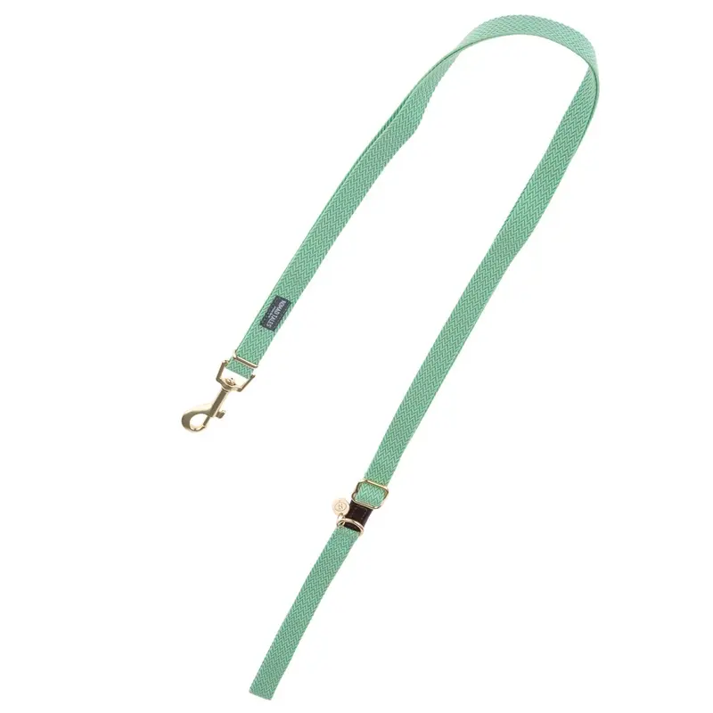Nomad Tales Bloom Leash, Mint - 200 Cm Long, 20 Mm Wide