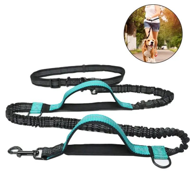 Leash Green Dog Hands-Free Dog With Two Bungees, Long Nylon Dog -Water