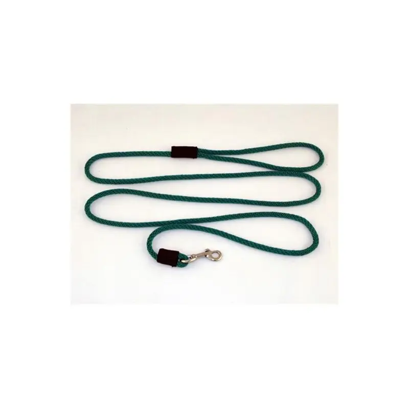 Good Boy Organics Green Dog Snap Leash 0.25 In. Diameter By 6 Ft. - Emerald Small