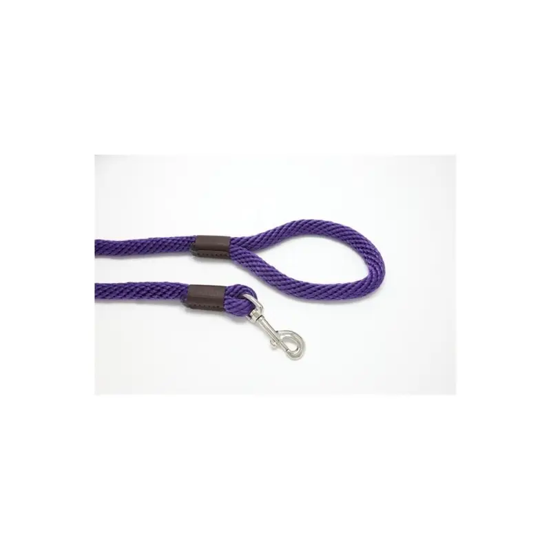 Purple Pebble Lz586pu 6 Ft. X 0.62 In. Leedz Super Thick Leash 6Ft
