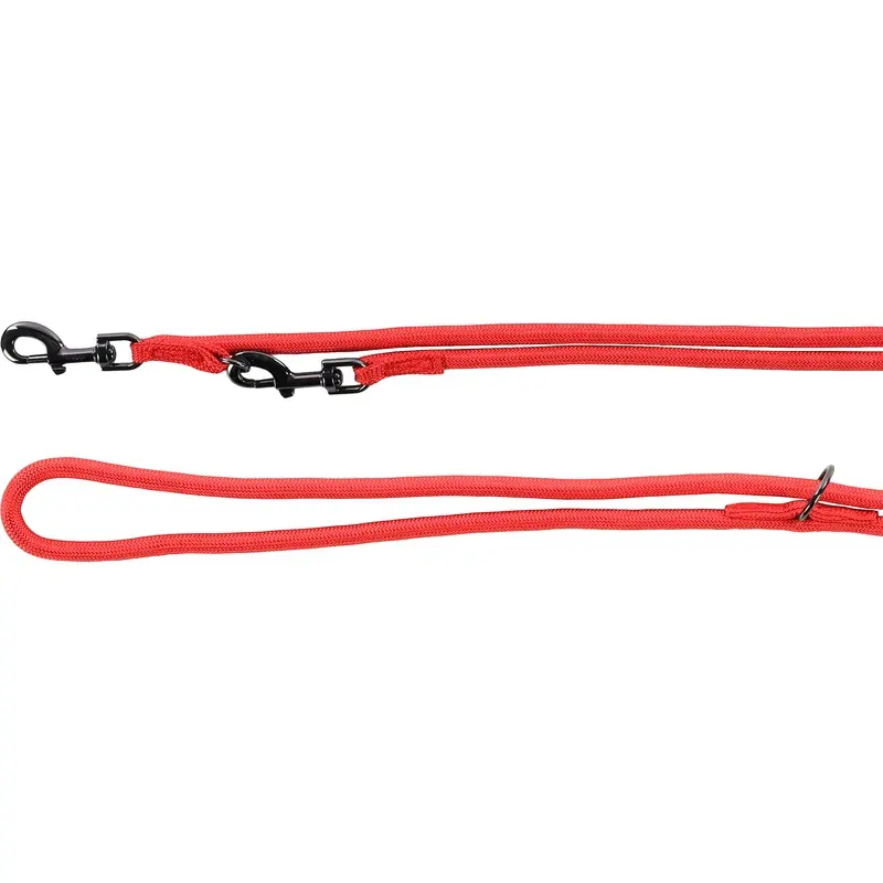 Flamingo Rouge Dog Training Lead Aiden