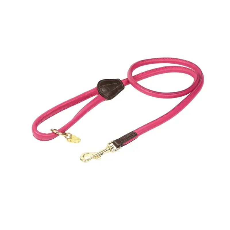 Digby & Fox Pink (One ) Rolled Leather Dog Lead 110Cm