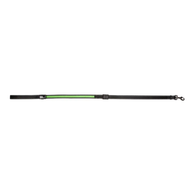 Eyenimal Noir Reflective Dog Leash Size 10