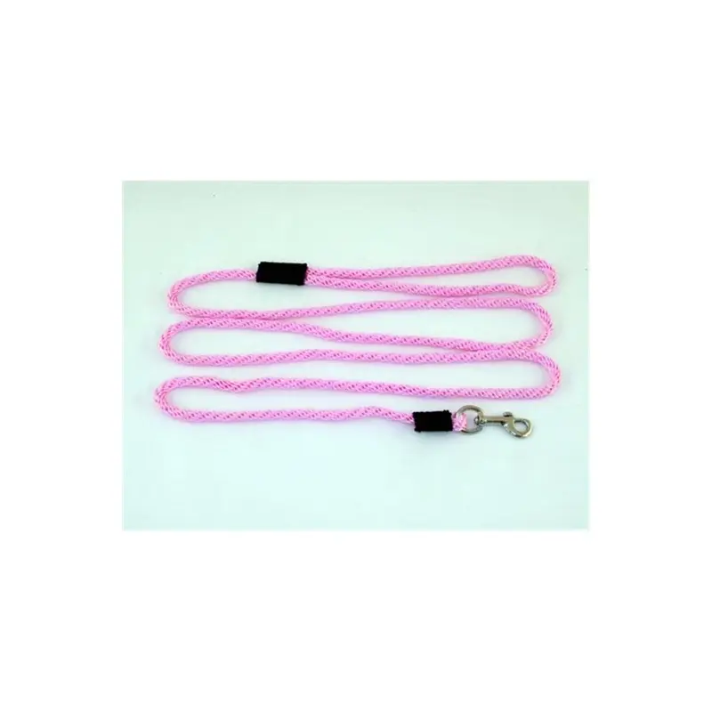 Good Boy Organics Pink Dog Snap Leash 0.25 In. Diameter By 6 Ft. - Hot Small