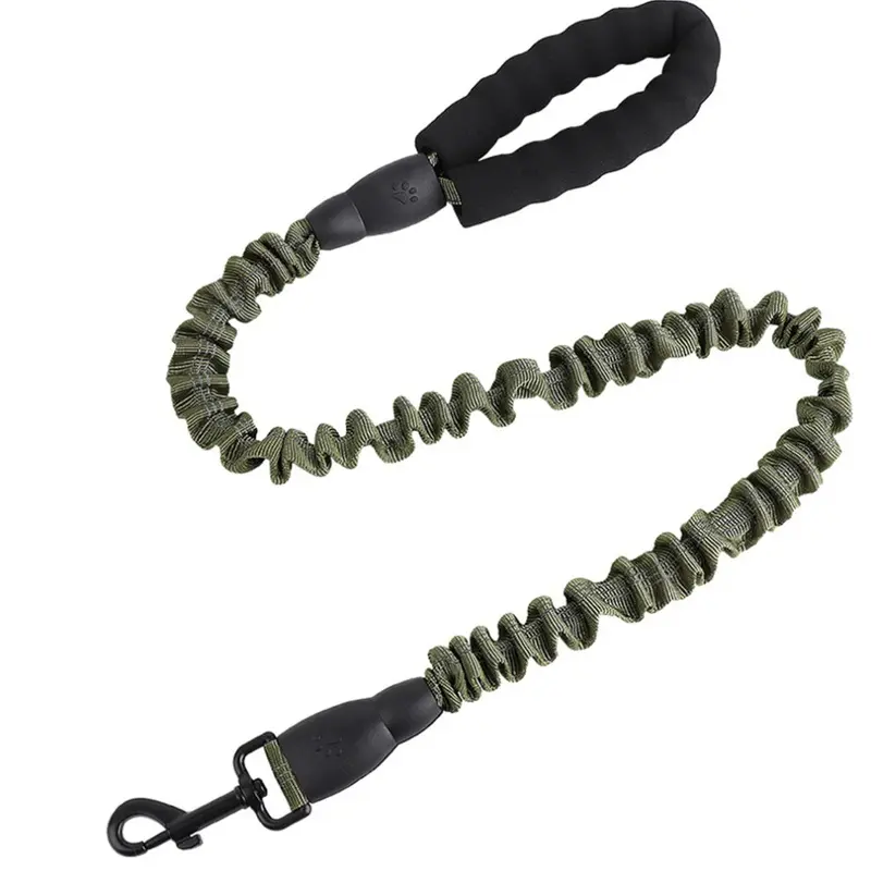 Loose Leashes Green Reflective Stretch Dog Leash Elastic Dog Training Leash?Green?