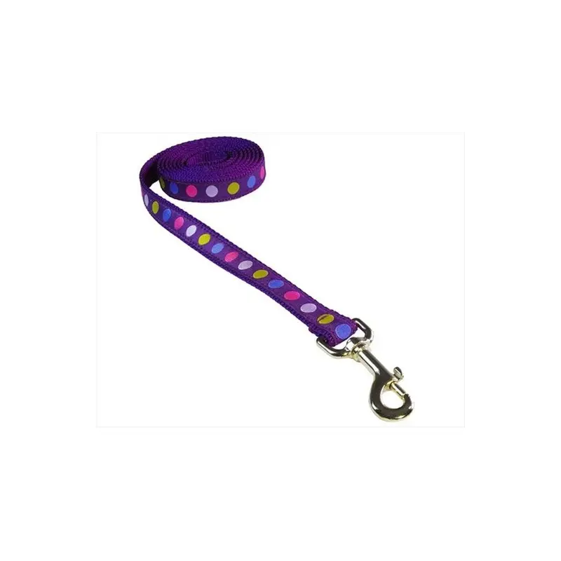 Sassy Dog Wear Purple Polka Dot-Multi3-L 6 Ft. Dot Dog Leash, & Multi - Medium