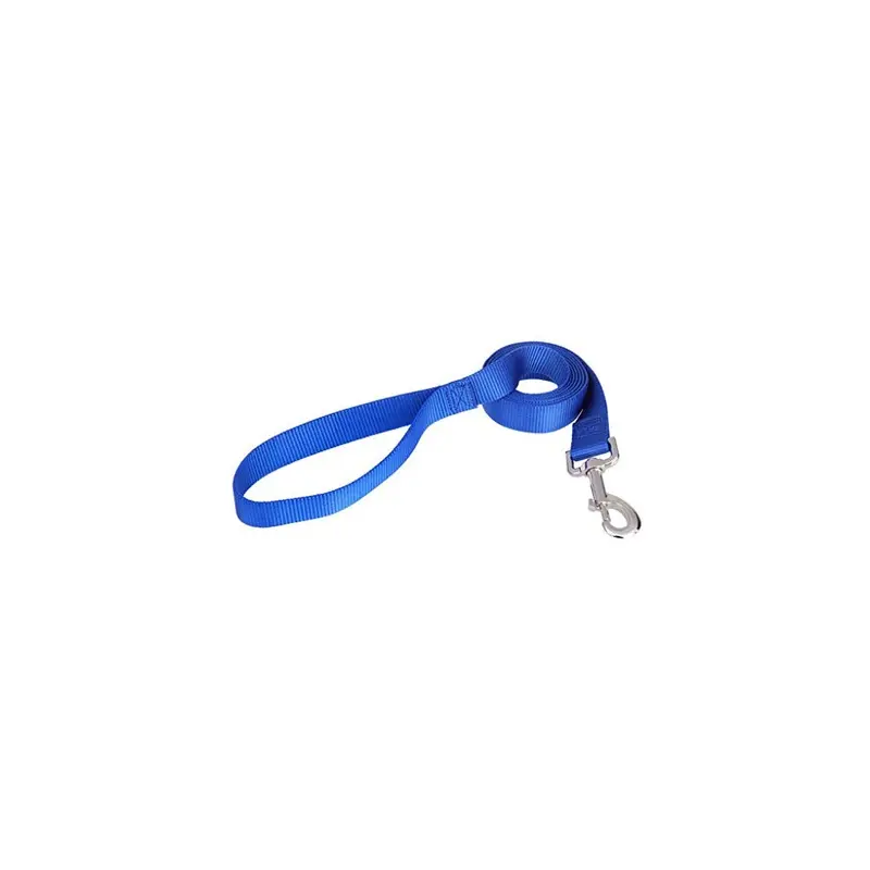 Accod Blue Pet/Dog Training Leash Pet Rope Pet Portable Traction Rope Long (Blue) 2M