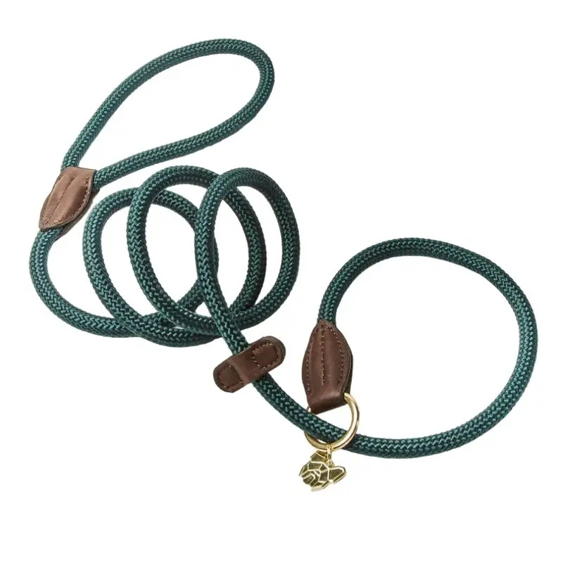Digby & Fox Green (One ) Leather Dog Slip Lead 170Cm