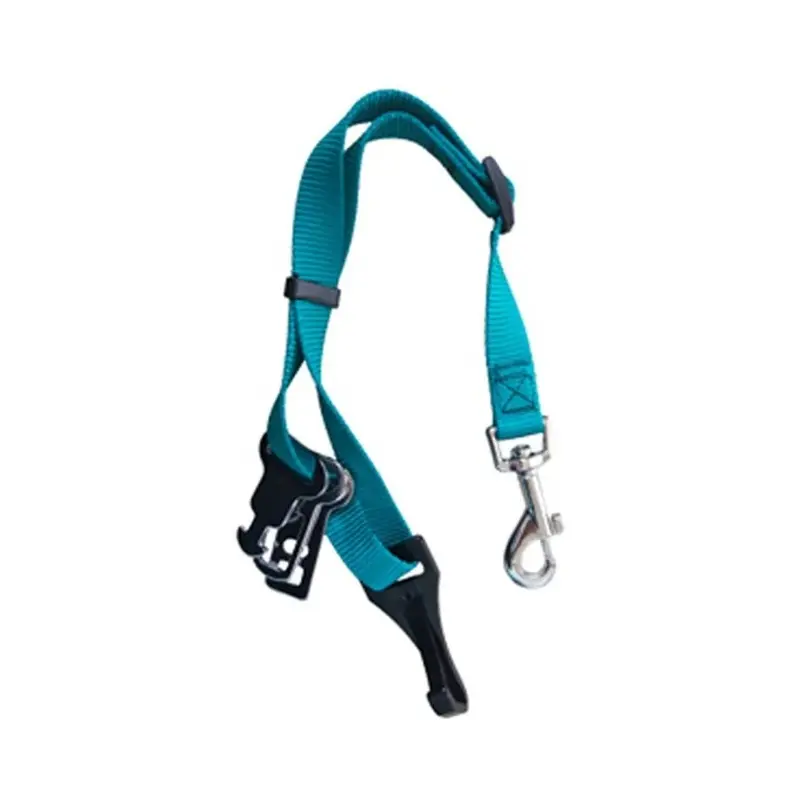 Pedigree Unisex Blue Universal Seat Belt Restraint - Teal