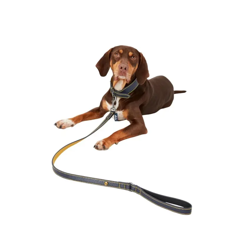 Rosewood Joules Leather Dog Lead 110Cm
