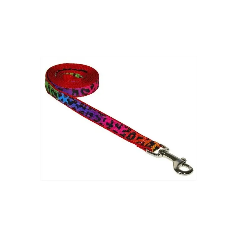 Sassy Dog Wear Leopard-Rainbow1-L 4 Ft. Leopard Dog Leash, Rainbow - Extra Small