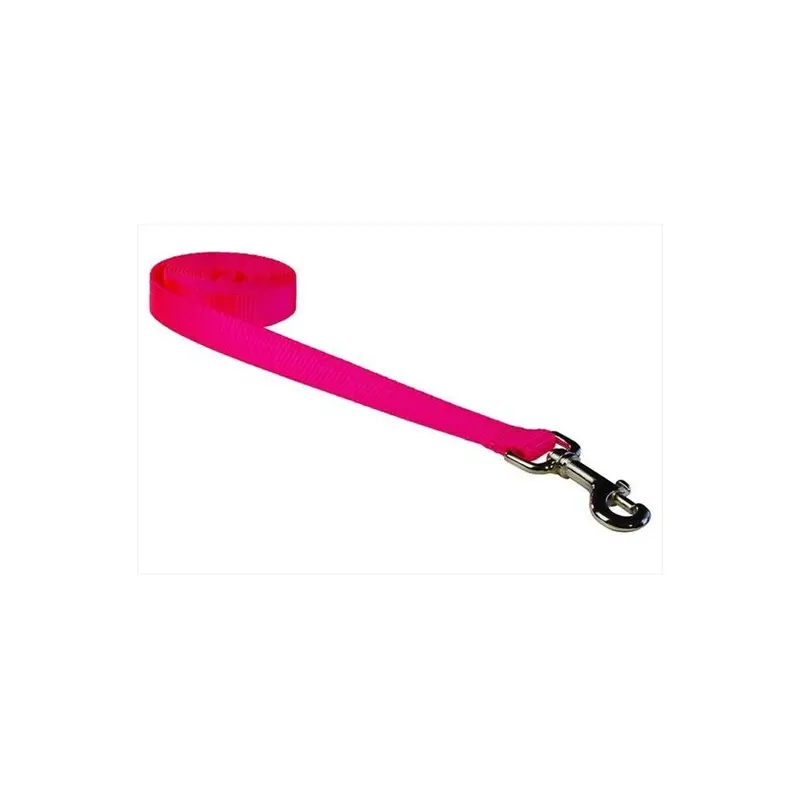 Fly Free Zone,Inc. Pink 6 Ft. Nylon Webbing Dog Leash, Neon - Medium
