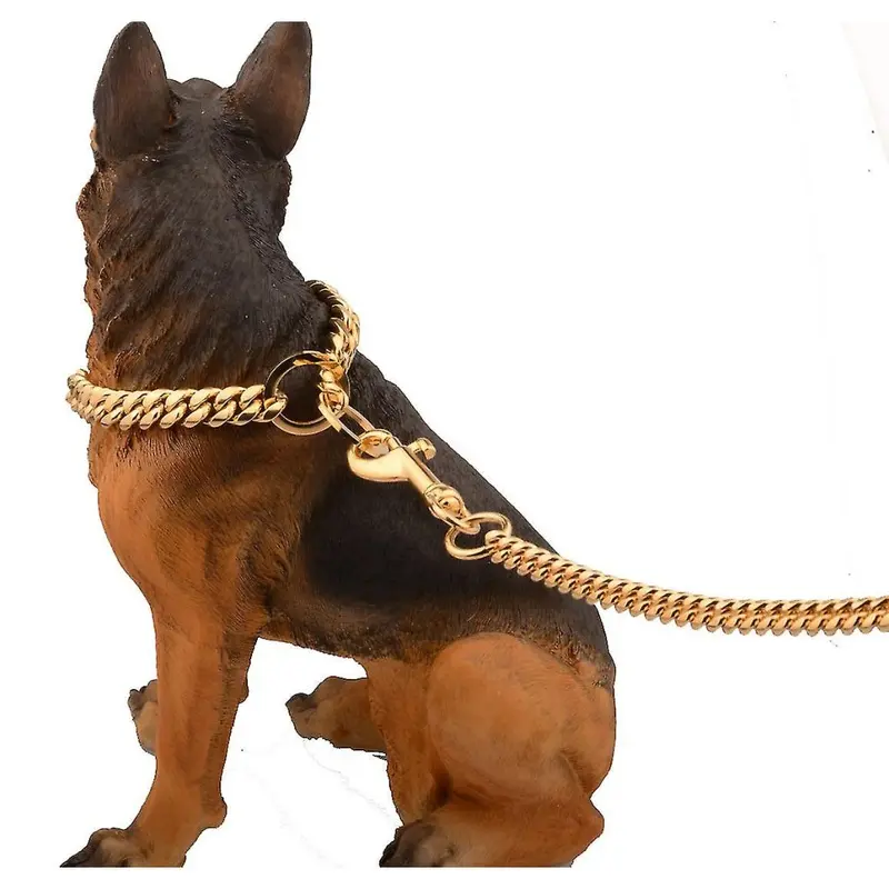 Gold 10Mm Metal Dog Leash With Padded Handle For Dogs And Pet Leash, Medium