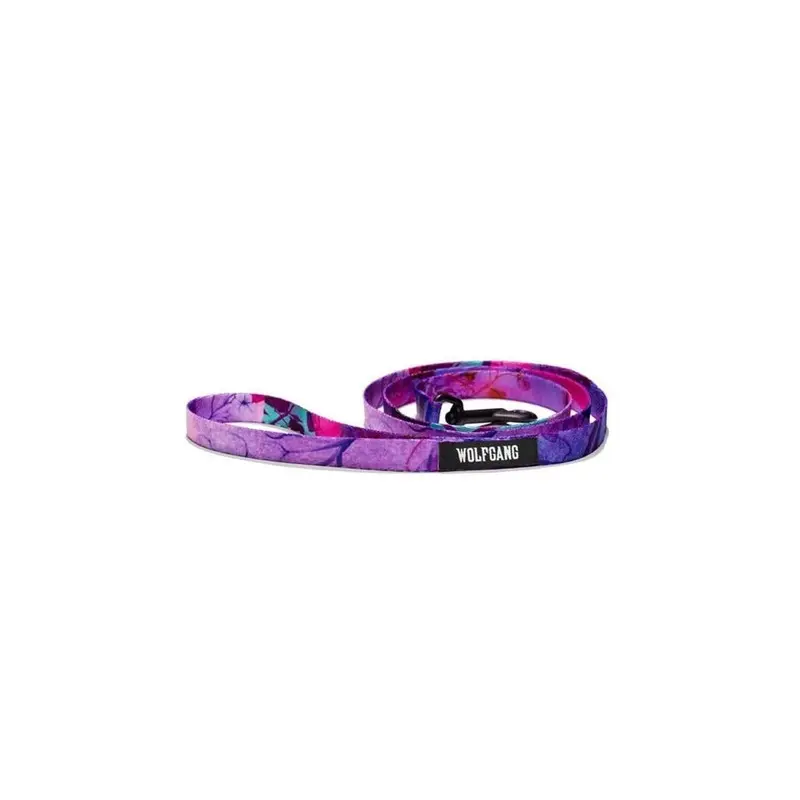 Wolfgang 8101646 4 In. Multi Color Day Dream Polyester Dog Leash, & Small