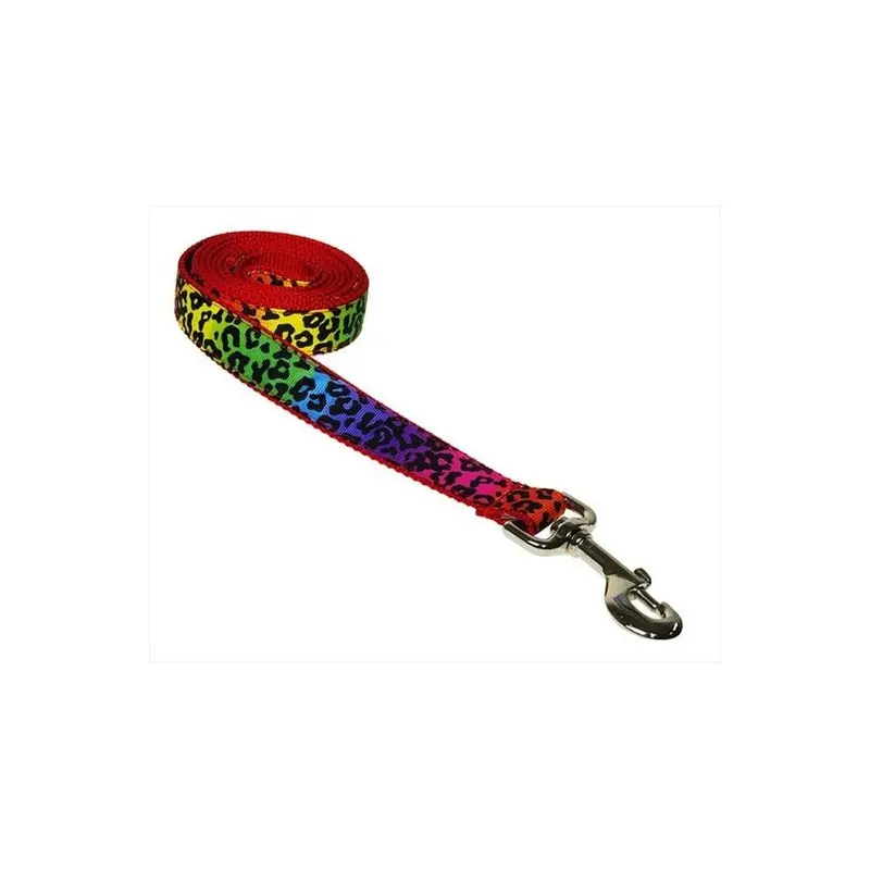 Sassy Dog Wear Leopard-Rainbow4-L 6 Ft. Leopard Dog Leash, Rainbow - Large