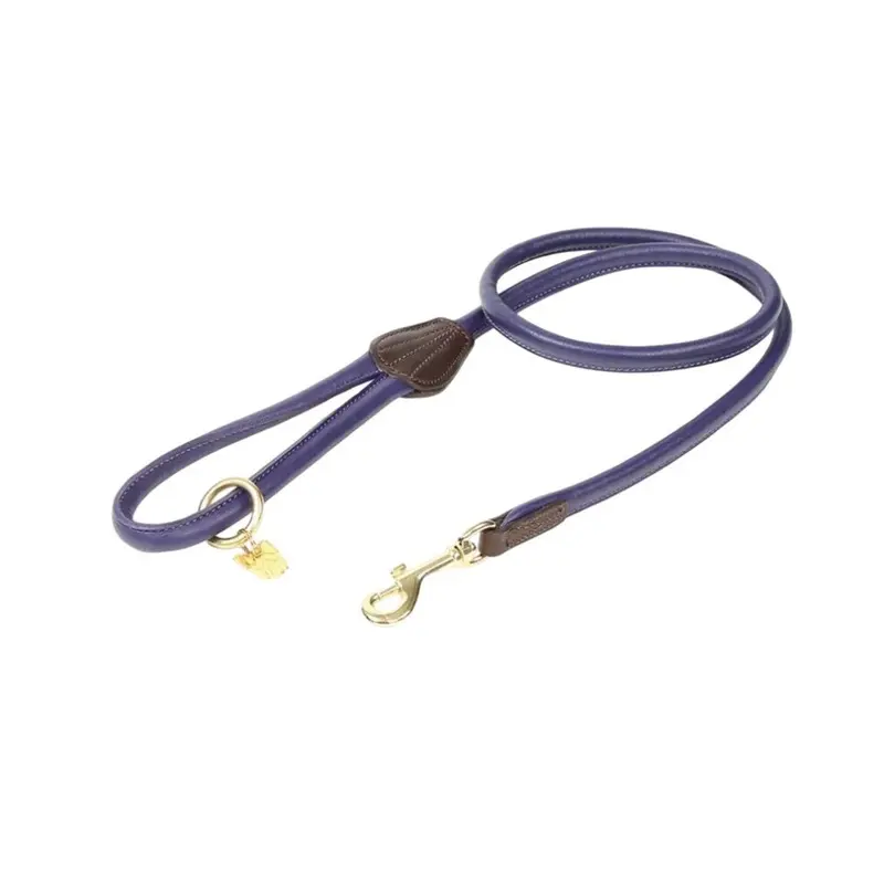 Digby & Fox Blue (One Navy) Rolled Leather Dog Lead 110Cm