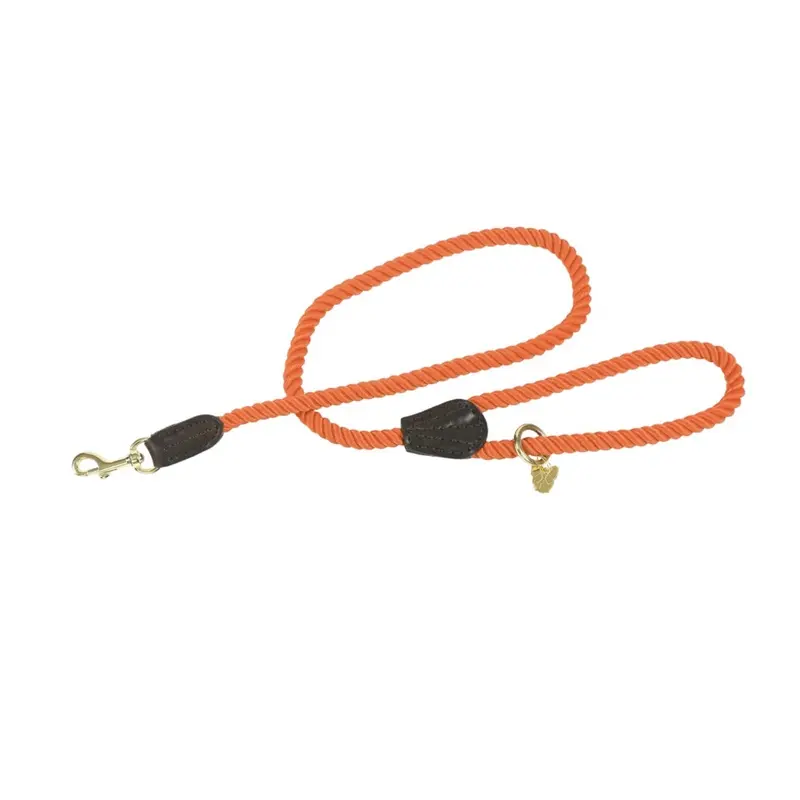 Digby & Fox Orange (One ) Twisted Dog Lead 110Cm
