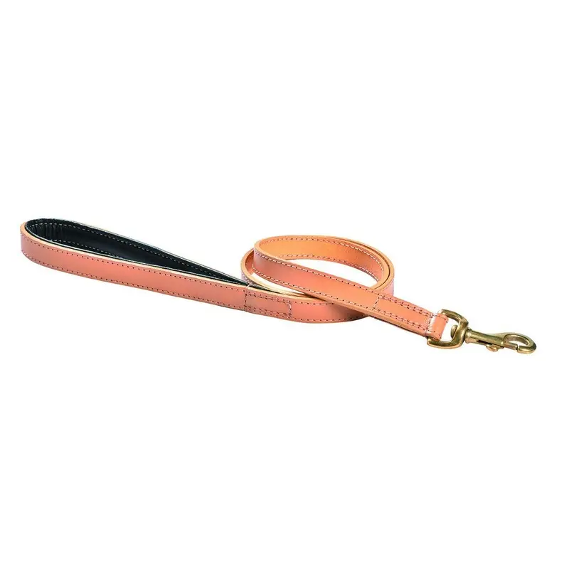 Bobby Beige 3-Position Dog Leash Walk Size 4
