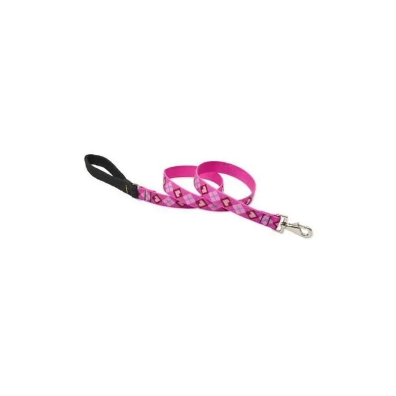 Petpalace 1 In. Puppy Love 6 Ft. Padded Handle Dog Leash 1In