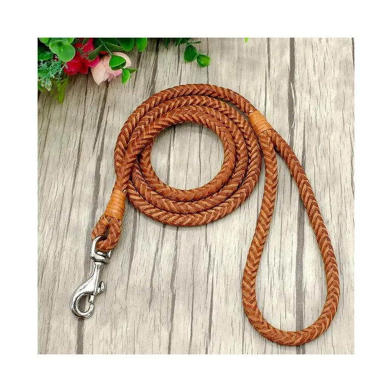 Maxpower Brown (S, ) Rolled Leather Dog Leash For Dogs Braided Leather Puppy Cat Small
