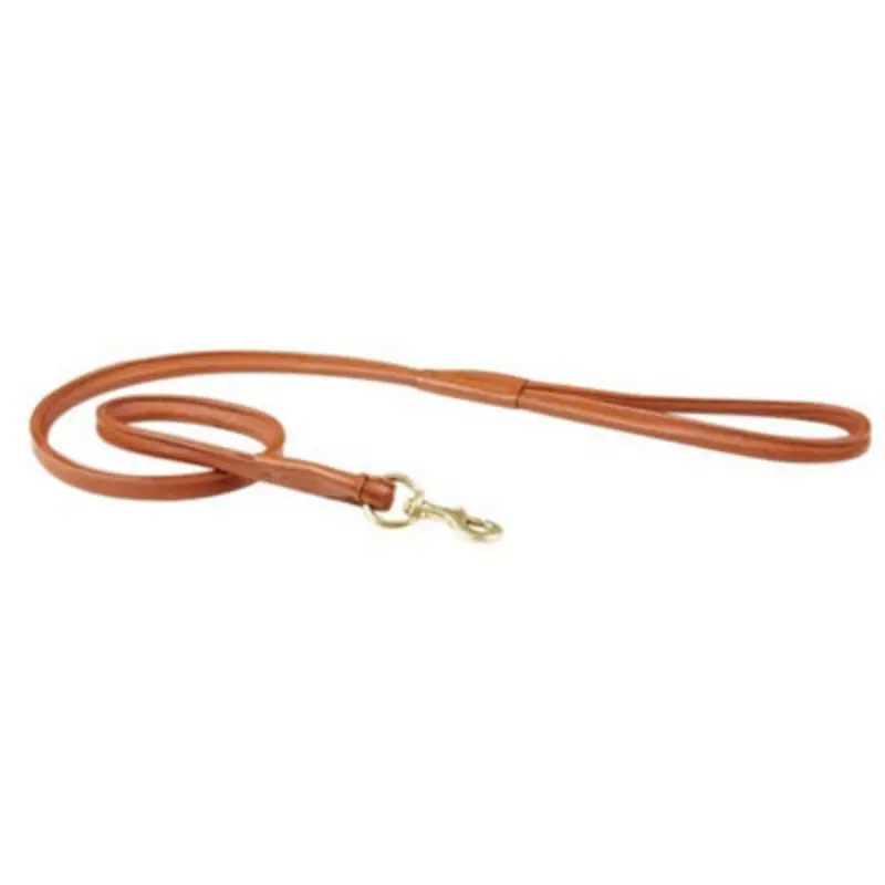 B&Q Weatherbeeta Rolled Leather Dog Lead Tan (One Size)