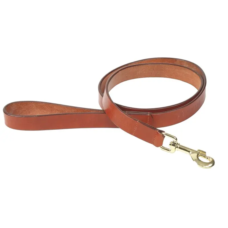 Digby & Fox (L, Tan) Flat Leather Dog Lead