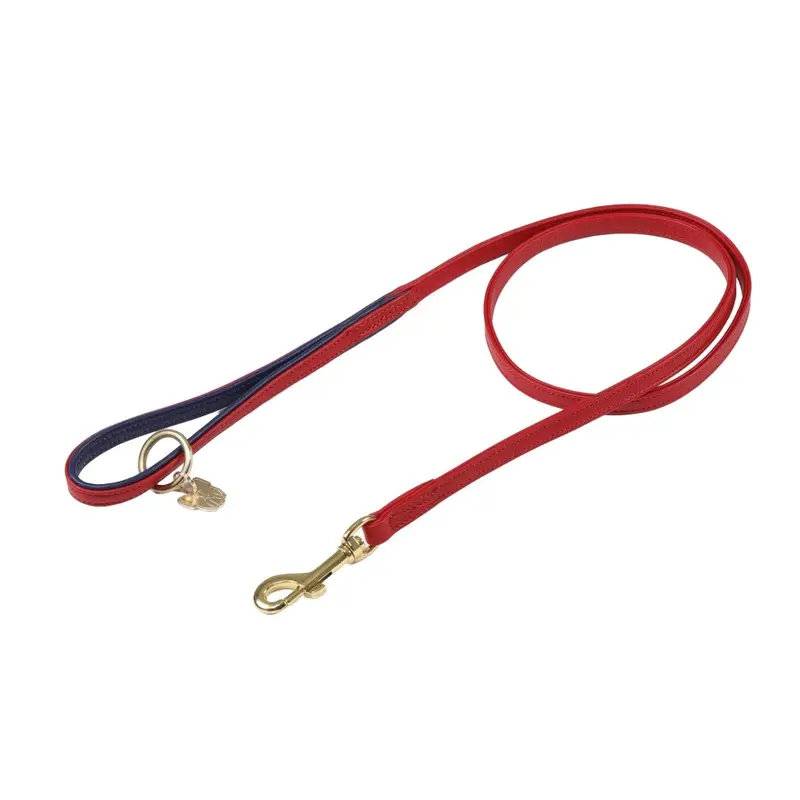 Digby & Fox (110Cm X 1.2Cm, Scarlet) Leather Padded Dog Lead 110Cm