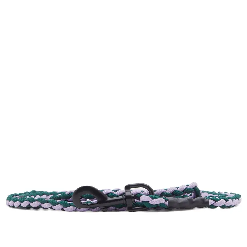 Hay Unisex Lavender/Green Braided Leash