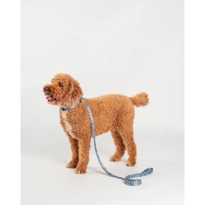 Saltrock Green Camo Stripe - Pet Lead - : Medium