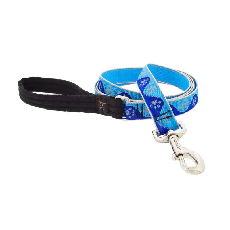 Lupinpet Blue Lupine Reflective Dog Leash 6-Foot By 1"""" Wide Paws Size 6